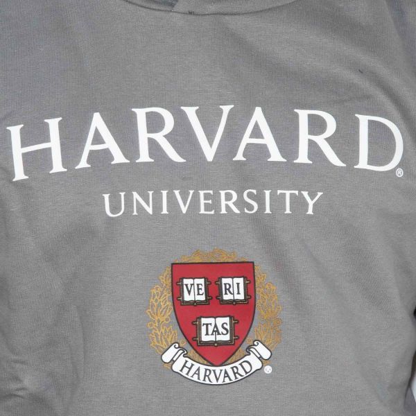 Park Fields Harvard Hoodie M
