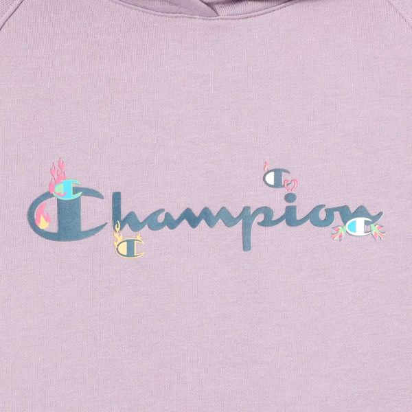 Champion Hooded Sweatshirt K