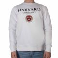 Park Fields Harvard Sweater M