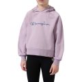Champion Hooded Sweatshirt K