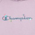 Champion Hooded Sweatshirt K