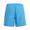 adidas Sportswear Essentials Logo CLX Swim Shorts K